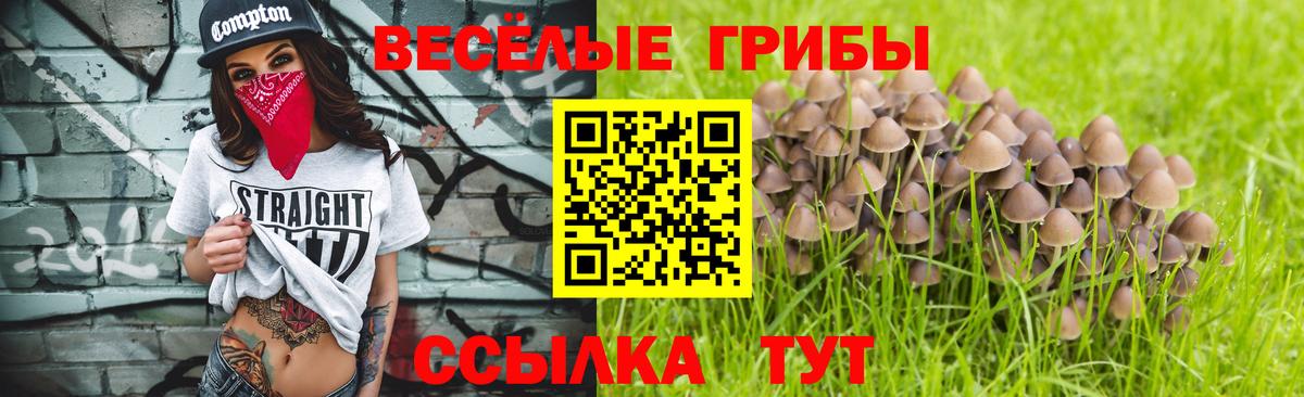Галлюциногенные грибы Psilocybe  Галлюциногенные грибы Magic Shrooms  Вход с VPN  Краснокамск 